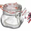 Westmark Fido Drahtbügelglas Mit Gummiring, 500 Ml 5